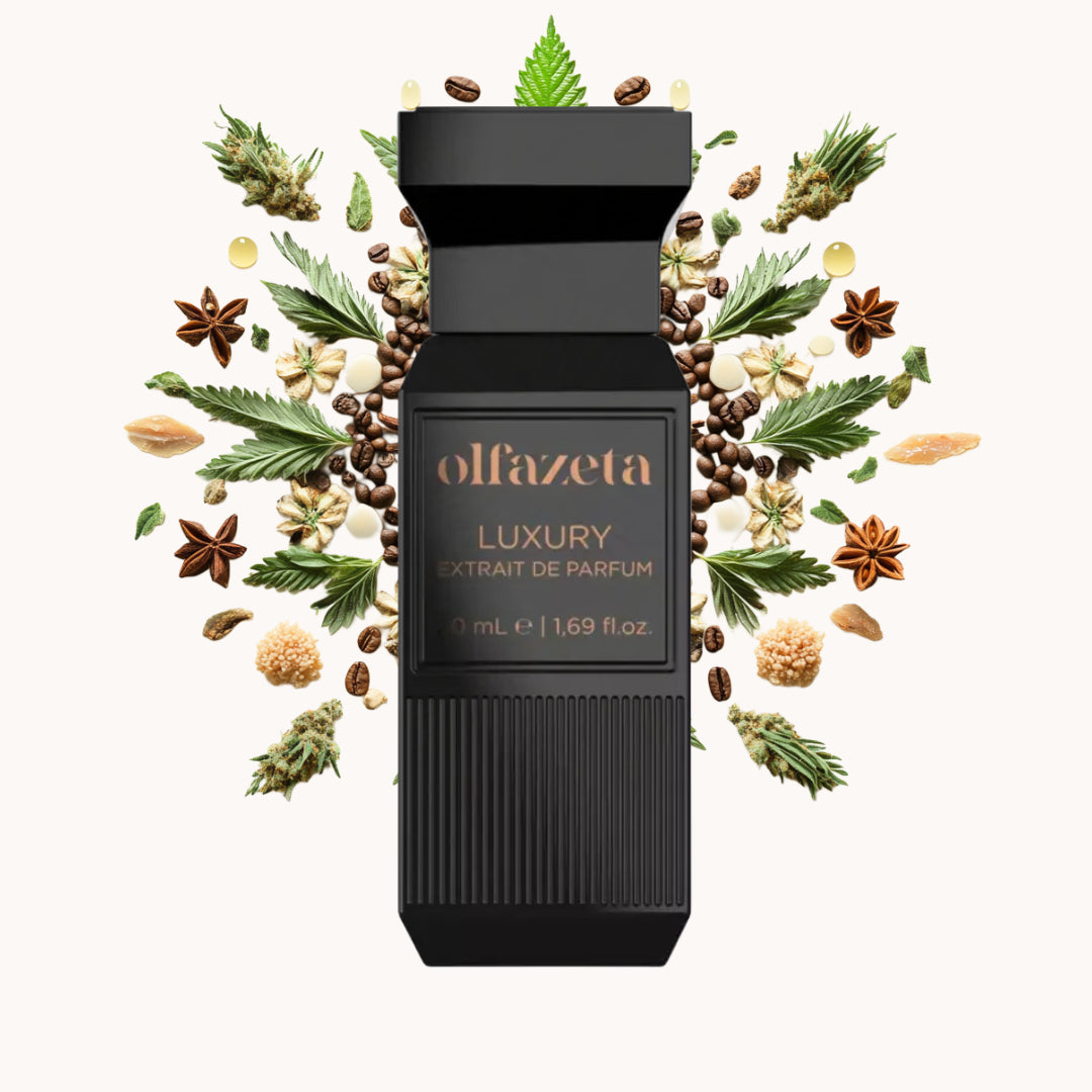 chogan 074 olfazeta kvepalai