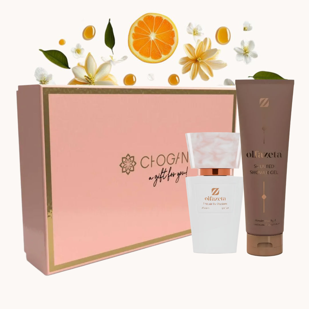 Chogan 119 | Bundle
