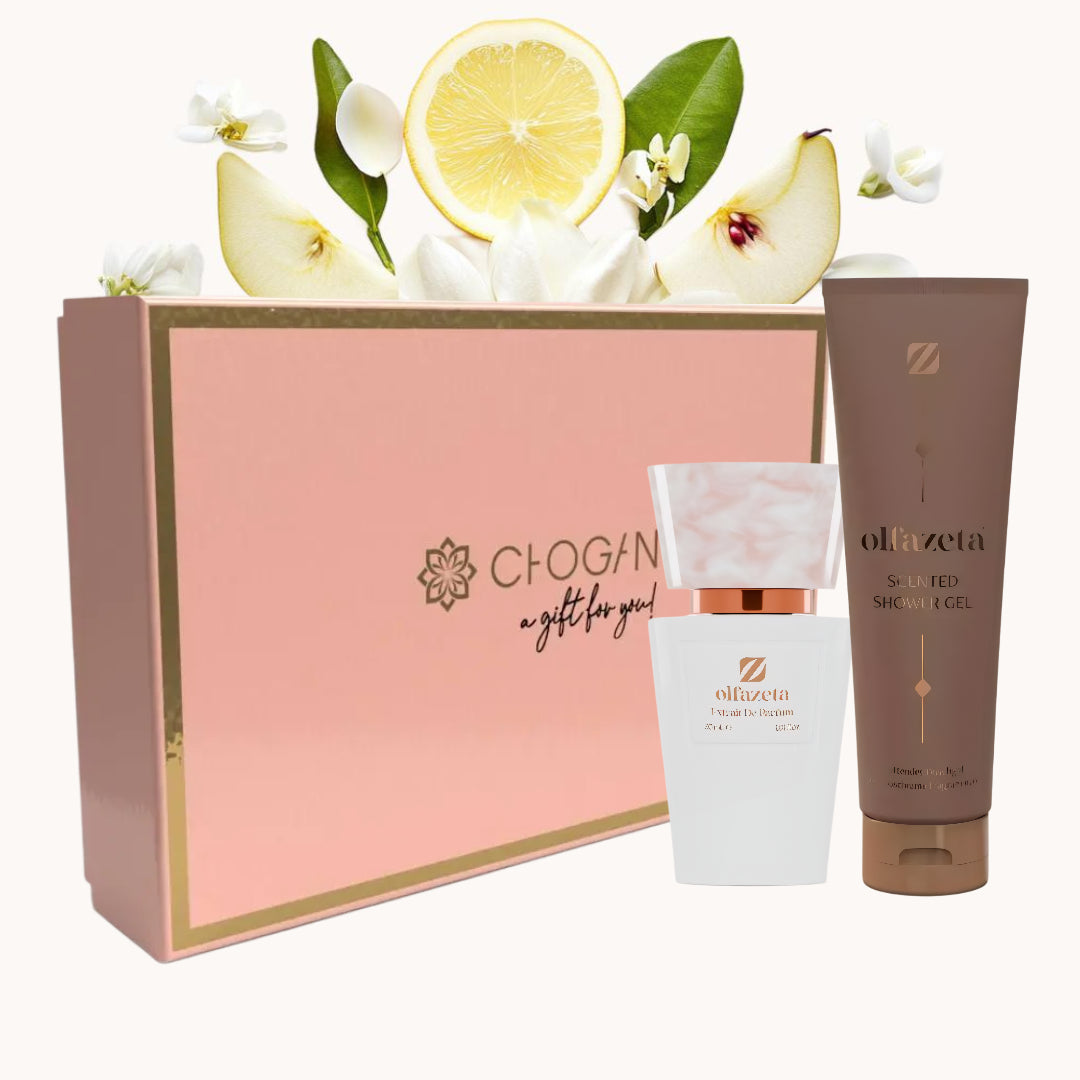 Chogan 121 | Bundle