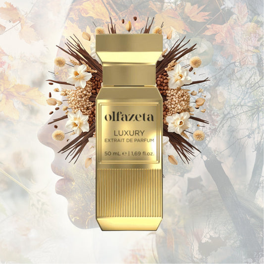 Top Chogan Fragrances for Every Season in 2025